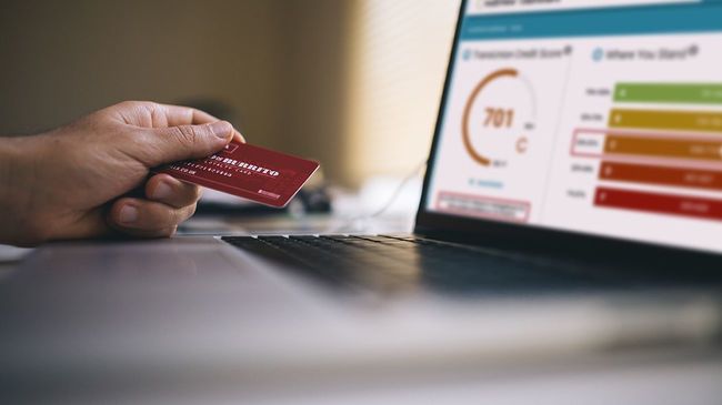 Person researching credit score