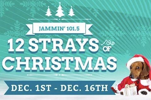 Jammin 101.5 12 Strays of Christmas logo