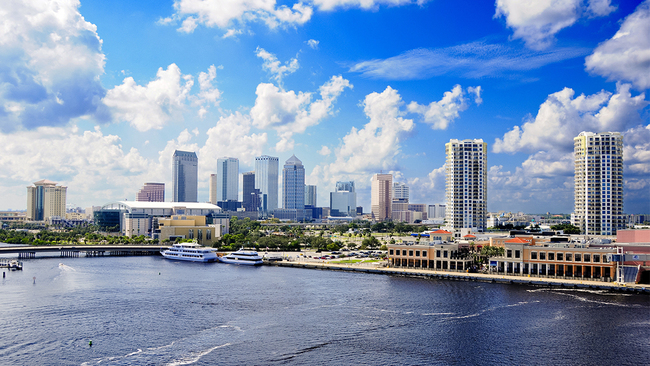 Tampa Bay skyline at daytime