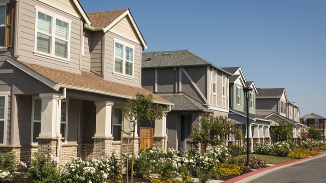 Newly built homes in neighborhood