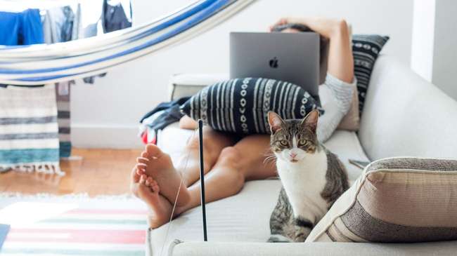 man sitting lying on couch with laptop and cat