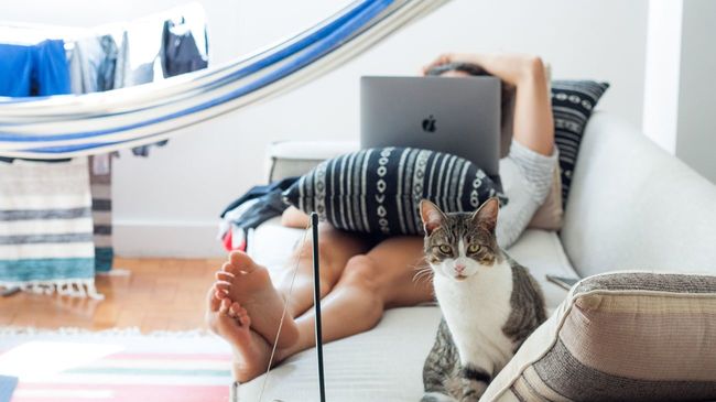 Man laying on couch looking up interest rates with cat