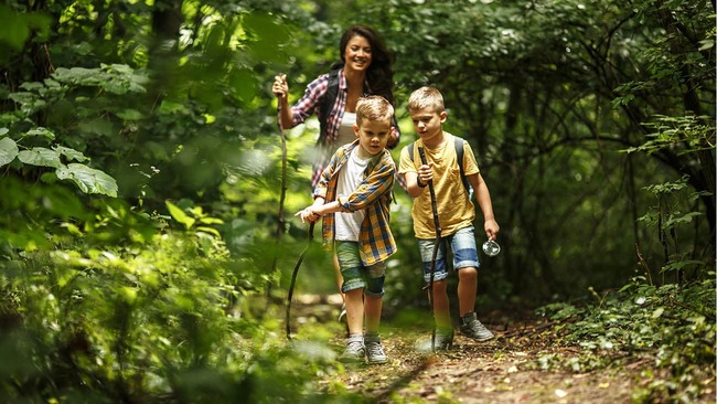 A mother and her sons hiking through the forest