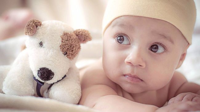 New baby next to stuffed animal dog