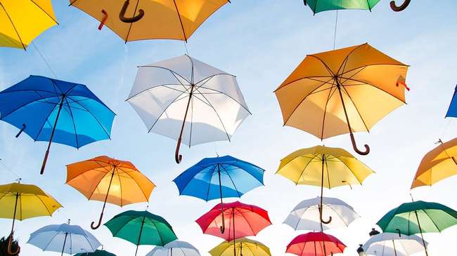Umbrellas hanging